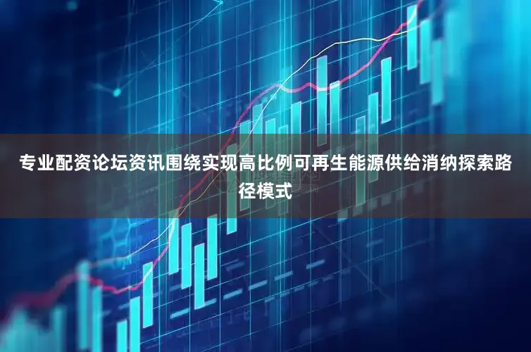 专业配资论坛资讯围绕实现高比例可再生能源供给消纳探索路径模式